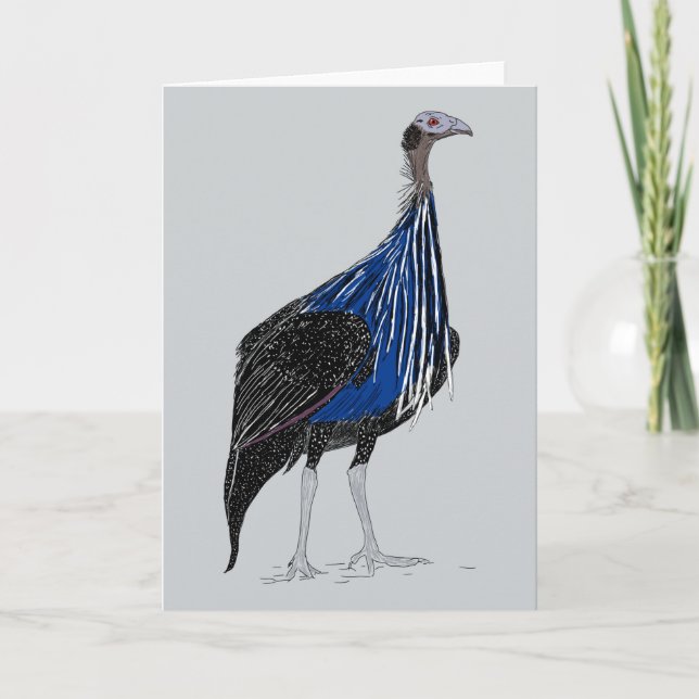 Tarjeta De Agradecimiento Vulturine Guineafowl (Anverso)