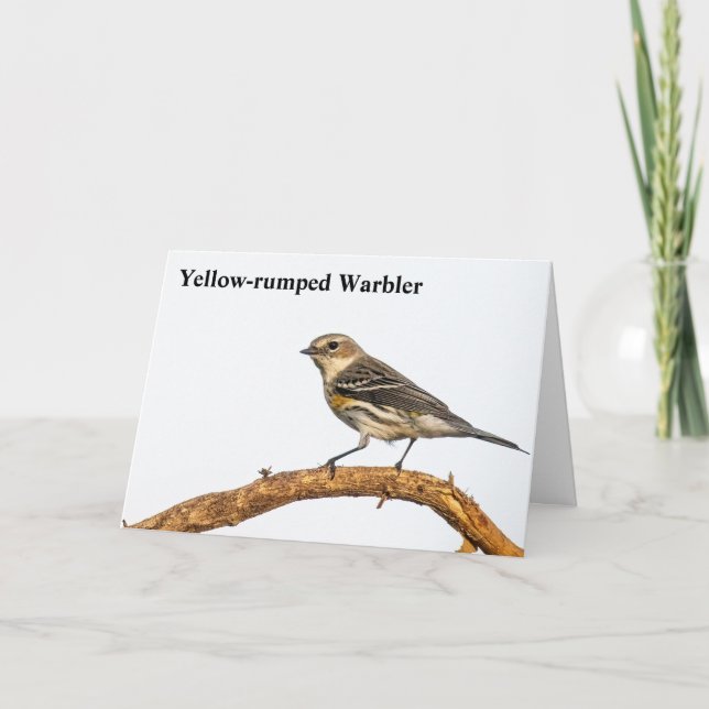 Tarjeta De Agradecimiento Warbler (Anverso)