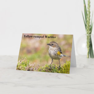 Tarjeta De Agradecimiento Warbler hembra