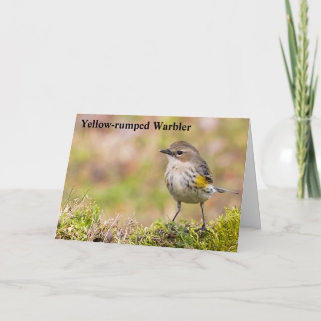 Tarjeta De Agradecimiento Warbler hembra (Anverso)