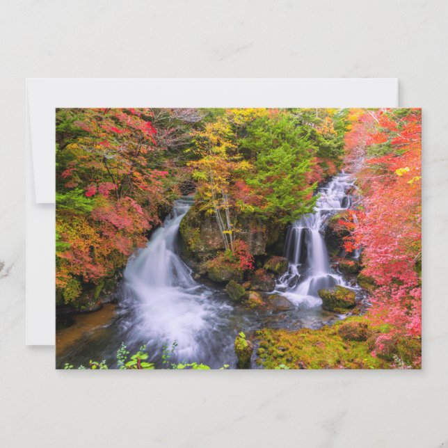 Tarjeta De Agradecimiento Waterfalls | Faucet Waterfalls Nikko Japan Fall (Anverso)
