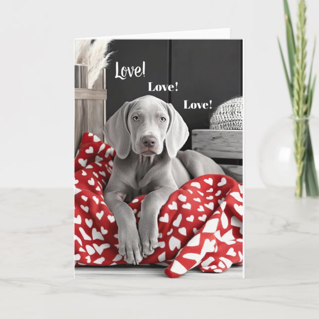 Tarjeta De Agradecimiento Weimaraner Valentine Card (Anverso)