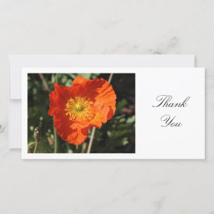 Tarjeta De Agradecimiento Welsh Poppy (Naranja) - Gracias