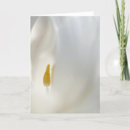 Tarjeta De Agradecimiento "What's Inside" dulces diseños florales en blanco