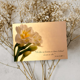 Tarjeta De Agradecimiento White Daffodis Gracias por su simpatía