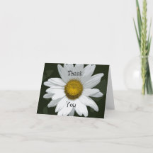 White Daisy Flower Gracias