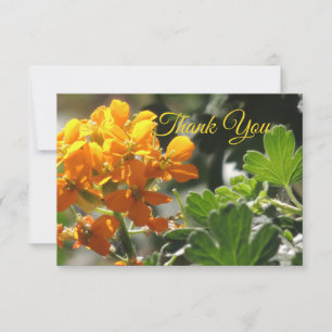 Tarjeta de agradecimiento Wild Flower Flat