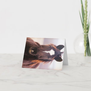 Tarjeta De Agradecimiento Wild Mustange Oklahoma