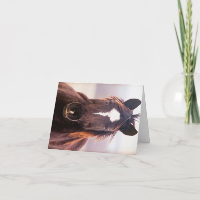 Tarjeta De Agradecimiento Wild Mustange Oklahoma (Anverso)