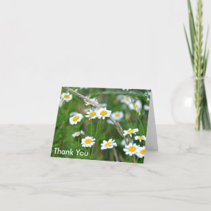 Tarjeta De Agradecimiento Wildflowers con las margaritas, gracias
