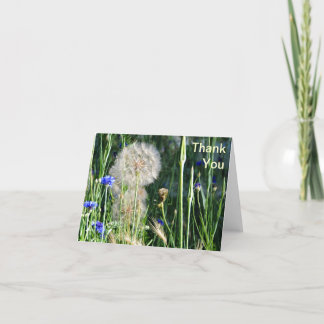 Tarjeta De Agradecimiento Wildflowers y Puffball, gracias