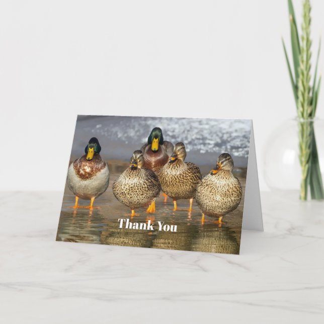 Tarjeta De Agradecimiento Wildlife Mallard Ducks (Anverso)
