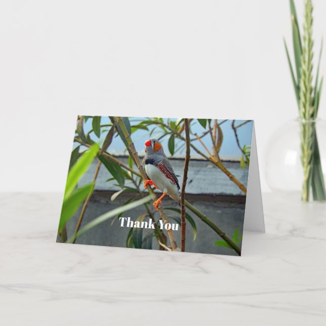 Tarjeta De Agradecimiento Wildlife Zebra Finch (Anverso)