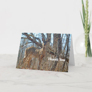 Tarjeta De Agradecimiento Willife Deer Woods