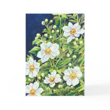 Windflowers de Tahlia: