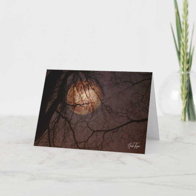 Tarjeta De Agradecimiento Winter Full Moon notecard (Anverso)