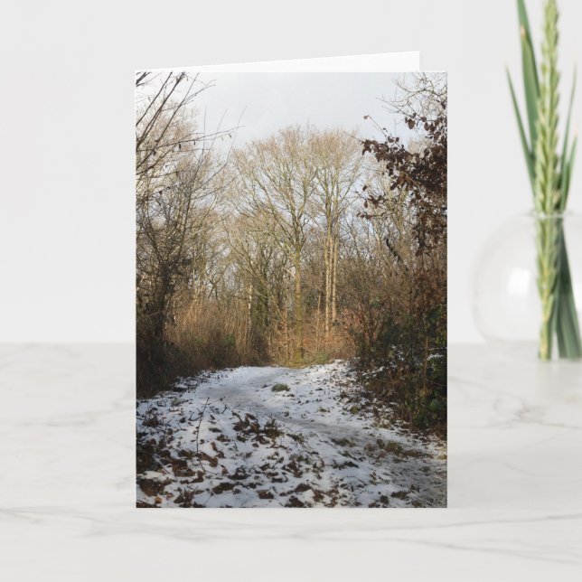Tarjeta De Agradecimiento Winter Woodland Arnside (Anverso)