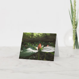 Tarjeta De Agradecimiento Woods Walking Trillium Gracias Cartas