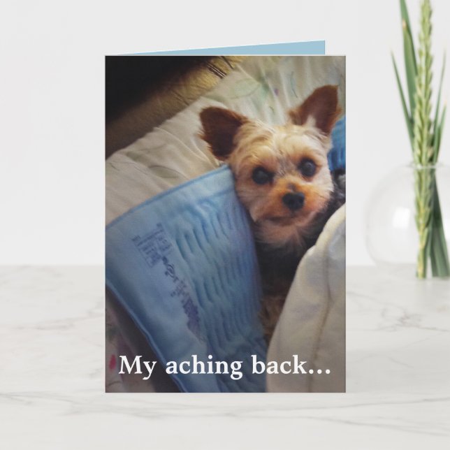 Tarjeta De Agradecimiento Yorkie en personalizable del cojín de calefacción (Anverso)