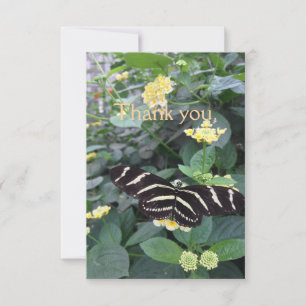 Tarjeta de agradecimiento Zebra Longwing