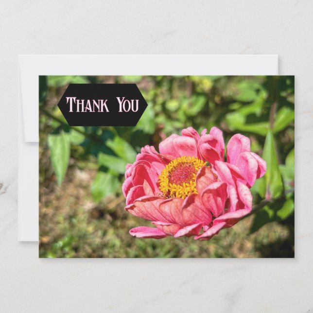 Tarjeta De Agradecimiento Zinnia rosa con centro amarillo (Anverso)