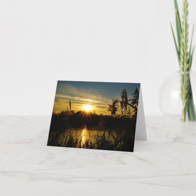 Tarjeta De Agradecimiento Zonsondergang bij een meertje met rietpluimen. (Anverso)