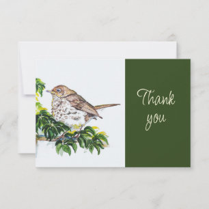 Tarjeta De Agradecimiento Zorzal de Swainson Pájaro Naturaleza AcuarelaGraci