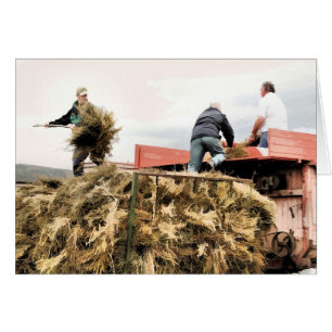 TARJETA DE AGRICULTURA