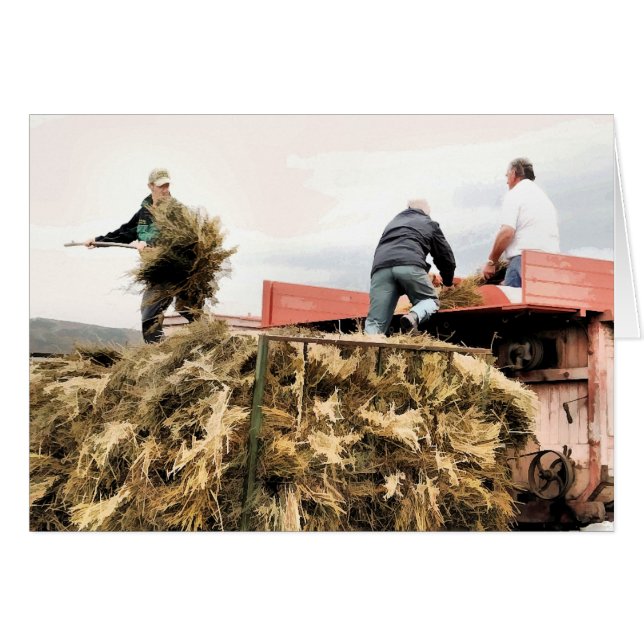 TARJETA DE AGRICULTURA (Anverso (Horizontal))