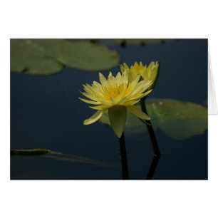 Tarjeta de agua amarilla de Lotus