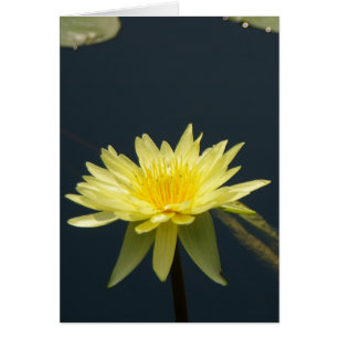 Tarjeta de agua amarilla de Lotus