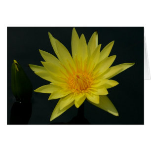 Tarjeta de agua amarilla de Lotus