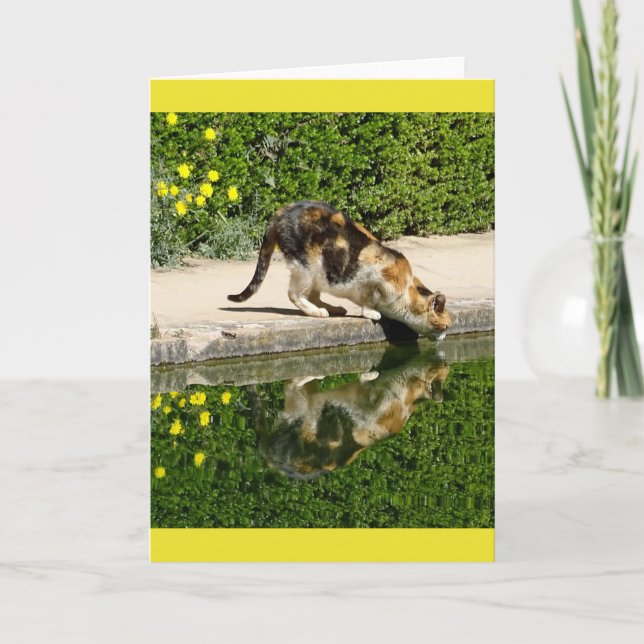 Tarjeta de agua potable Calico Cat (Anverso)