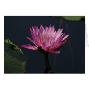 Tarjeta de agua Purple Lotus