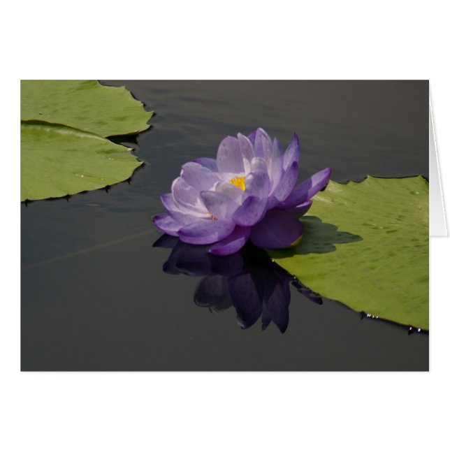 Tarjeta de agua Purple Lotus (Anverso (Horizontal))