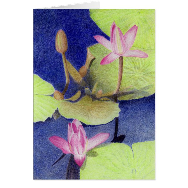 Tarjeta de agua rosa Lotus (Frente)