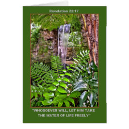 Tarjeta de agua viva