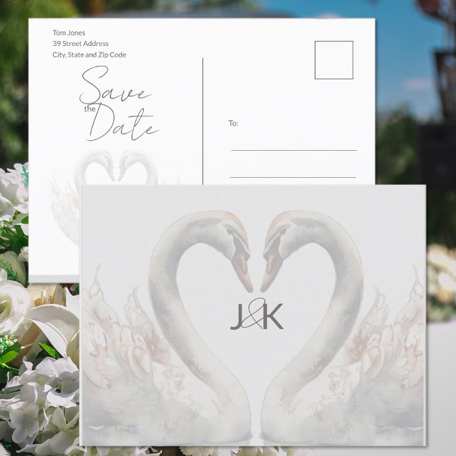 Tarjeta de Ahorro de Boda de Cisnes Románticos (Romantic Swans Wedding Save the Date Postcard (front and back))