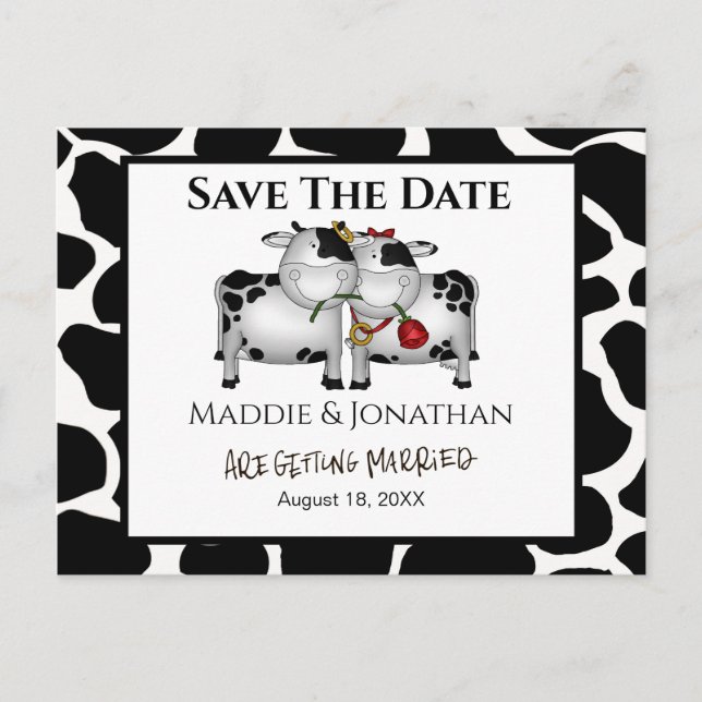Tarjeta de Ahorro de Bodas de Vacas Divertidas (Anverso)