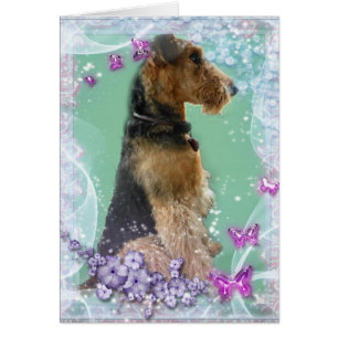 Tarjeta de Airedale Terrier