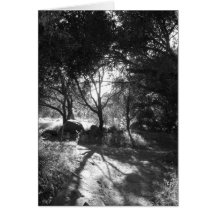 Tarjeta de aislamiento