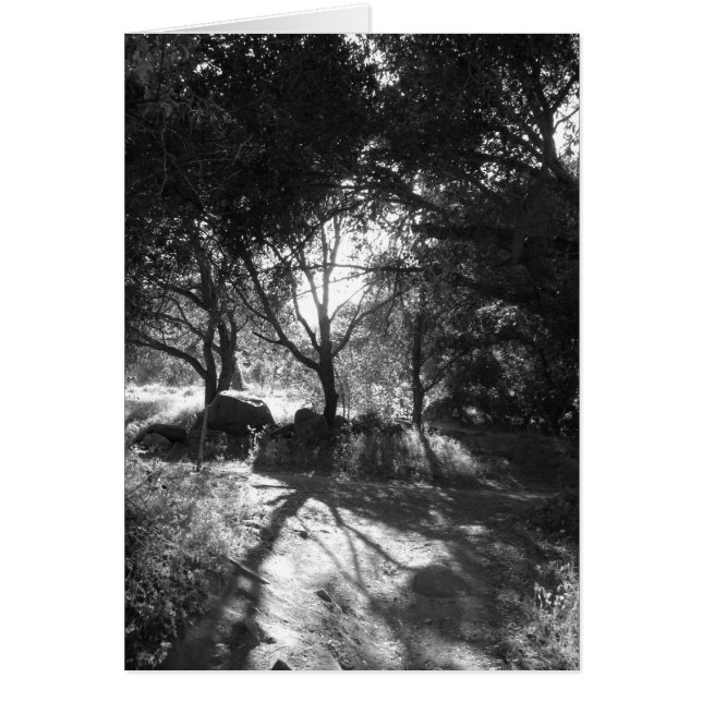 Tarjeta de aislamiento (Frente)