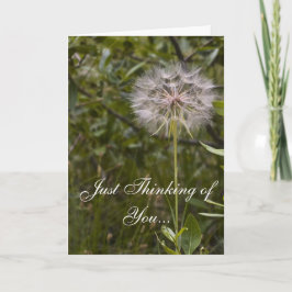 Tarjeta de aliento Deuteronomio 31:6