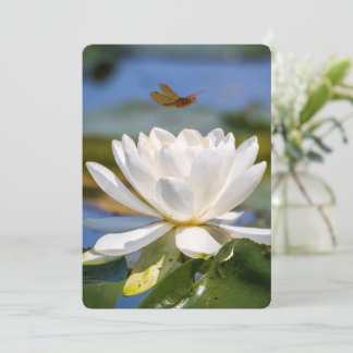 Tarjeta de aliento: sin barro, sin loto