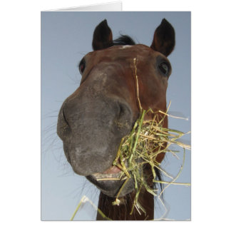 tarjeta de alimentación de caballos divertida