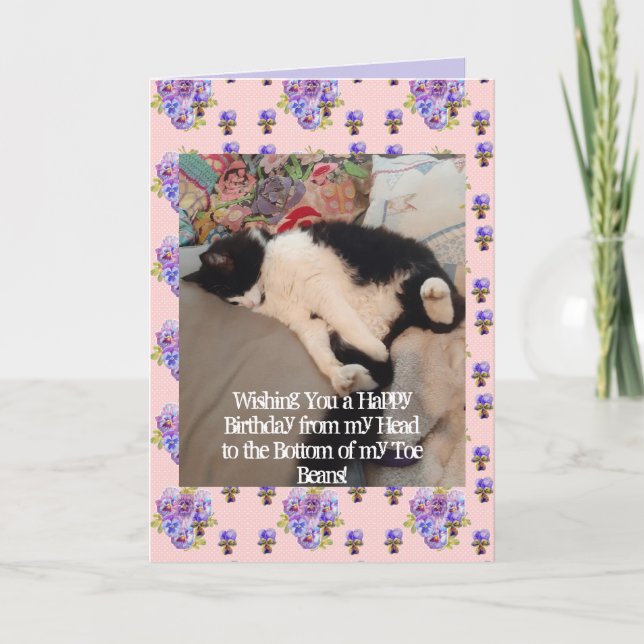 Tarjeta de alubias de cumpleaños feliz para gato d (Anverso)
