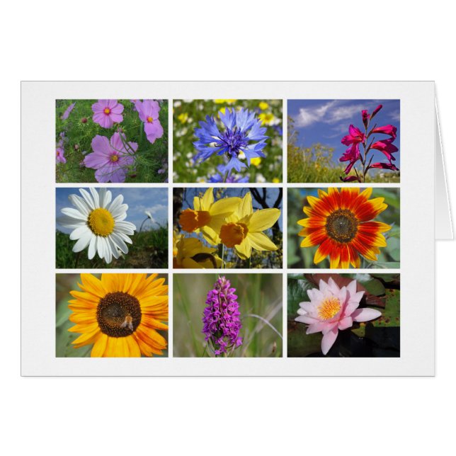 Tarjeta de amante de las flores (Anverso (Horizontal))