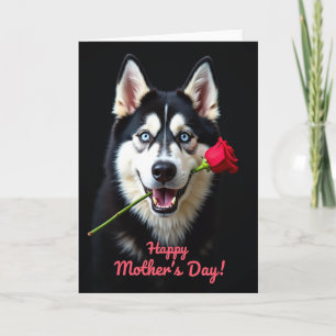 Tarjeta de amigo canino Rosa de terciopelo