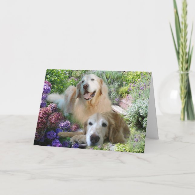 Tarjeta de amigos de Golden Retriever (Anverso)