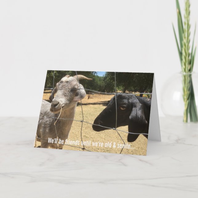 Tarjeta de amigos para siempre (Anverso)